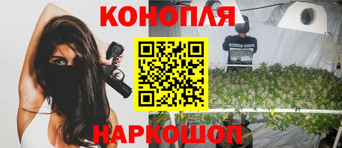 Бошки марихуана Amnesia  Бошки Шишки планчик  Вход с VPN  Морозовск  Канабис SATIVA & INDICA  Канабис конопля 